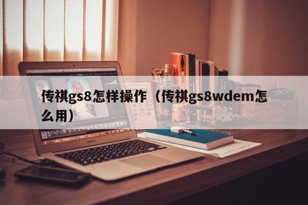 传祺gs8怎样操作（传祺gs8wdem怎么用）