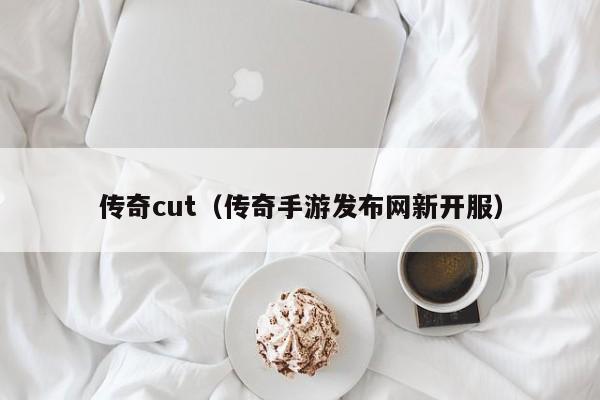 传奇cut（传奇手游发布网新开服）