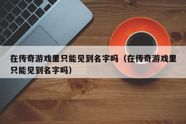 在传奇游戏里只能见到名字吗（在传奇游戏里只能见到名字吗）